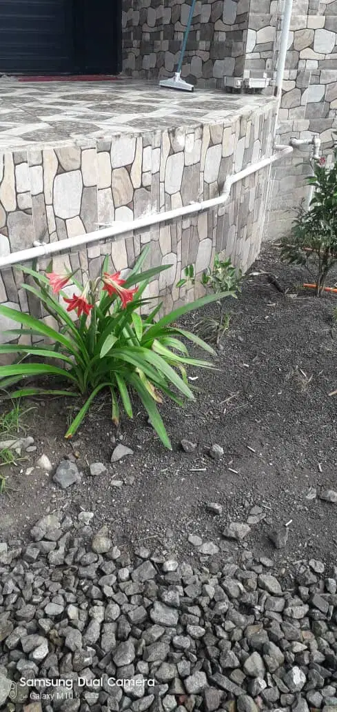 ویلاروزانه آستانه اشرفیه