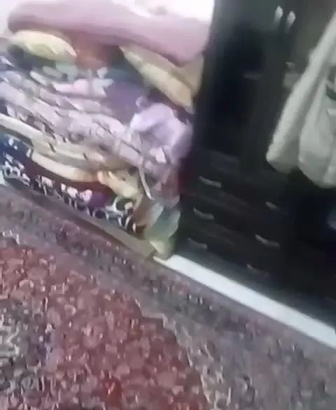 آپارتمان سند دار فلکه گاز