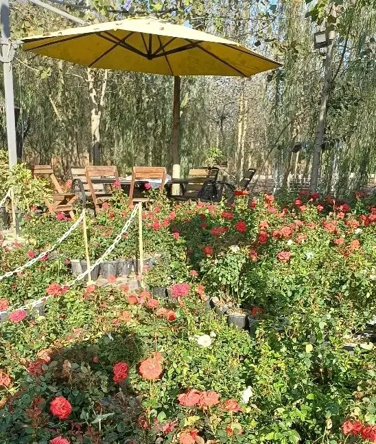 در دل ویلاهای ما استانداردها باز تعریف می شود
