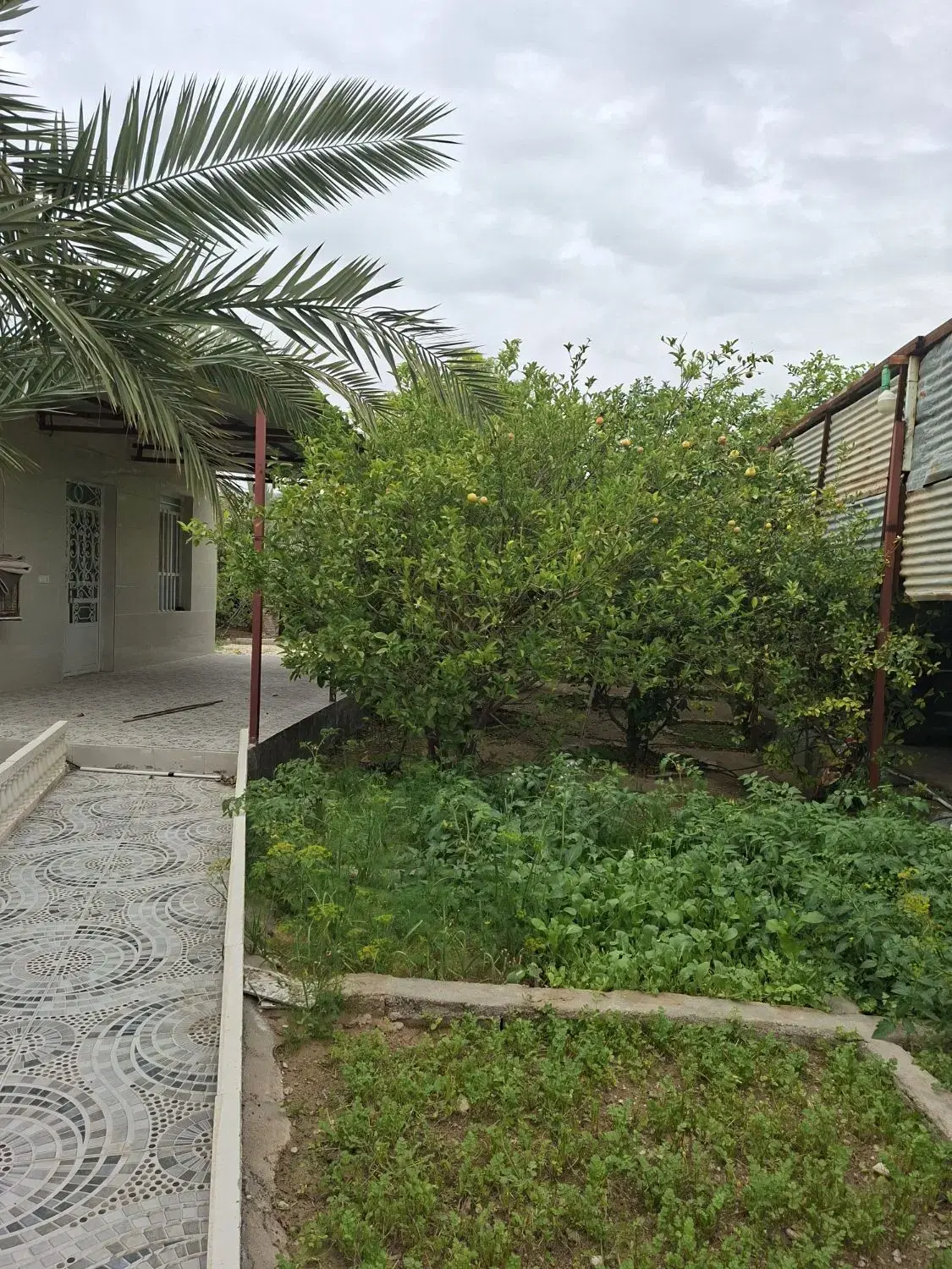 خانه باغ در دلوار همراه با پارکینگ