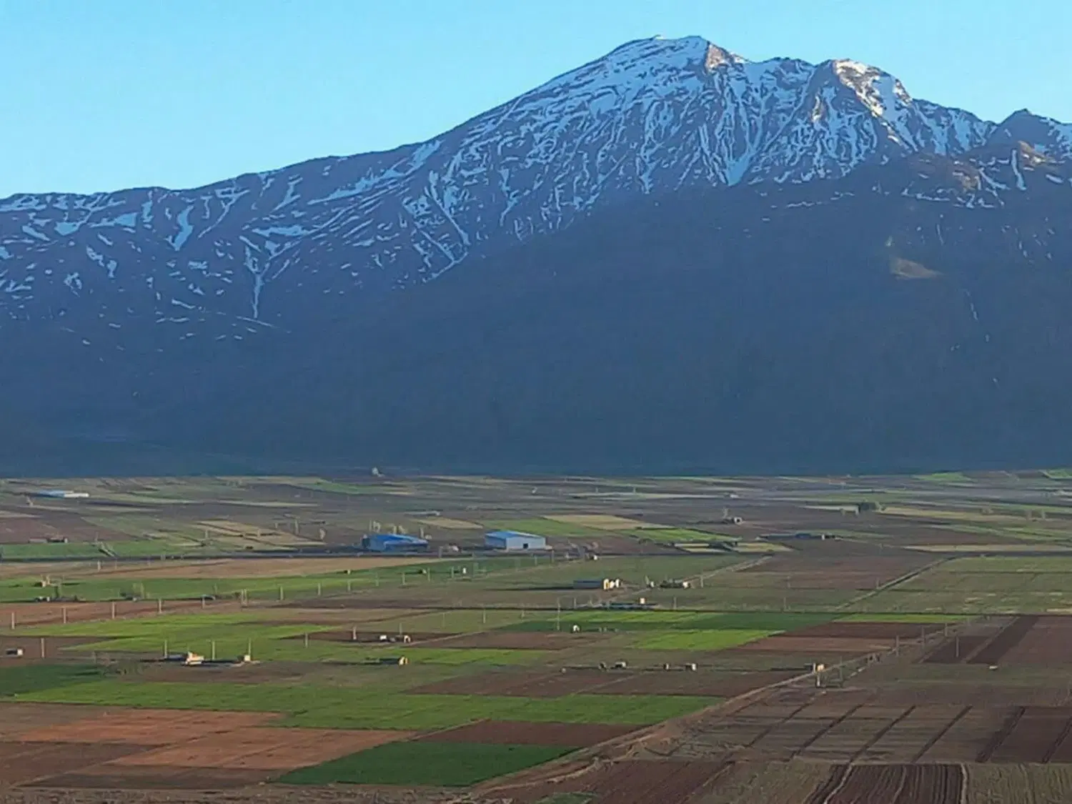 زمین گلخانه