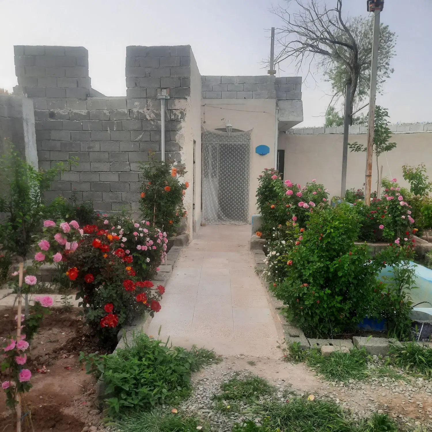 باغچه ۶۰۰ متری