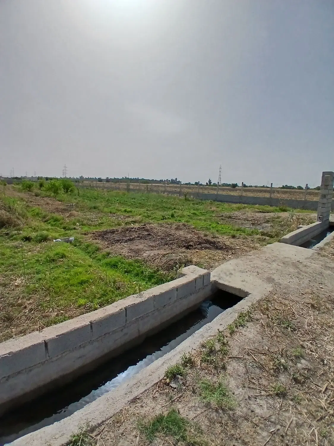 زمین باغی منصوریه
