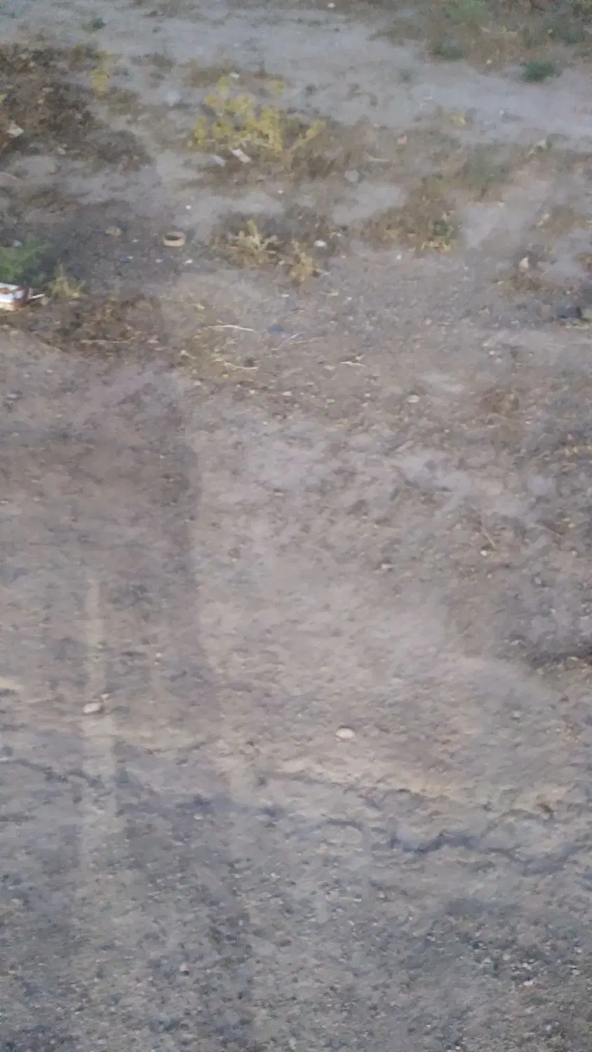 زمین سند زراعی ورودی سوسنگرد