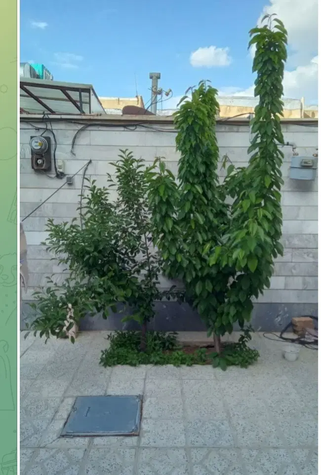 فروش خانه مستقل درادبجو