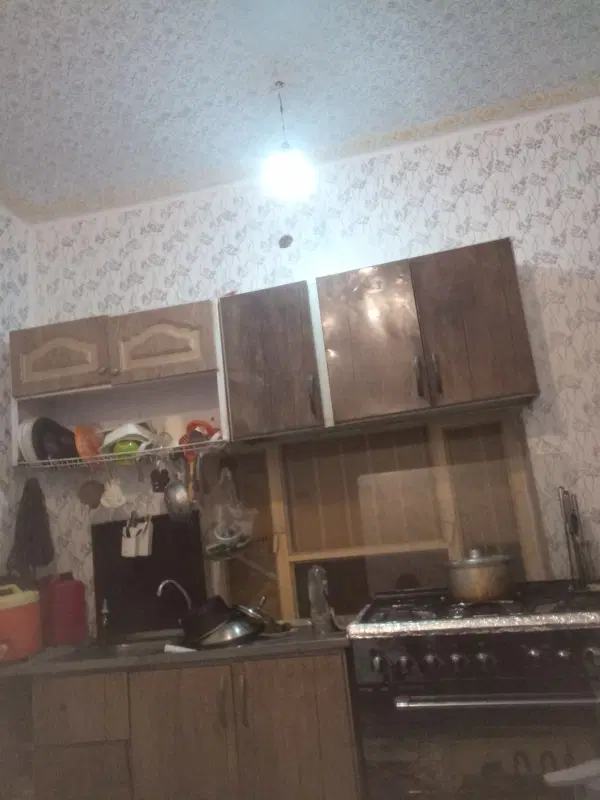 همخونه