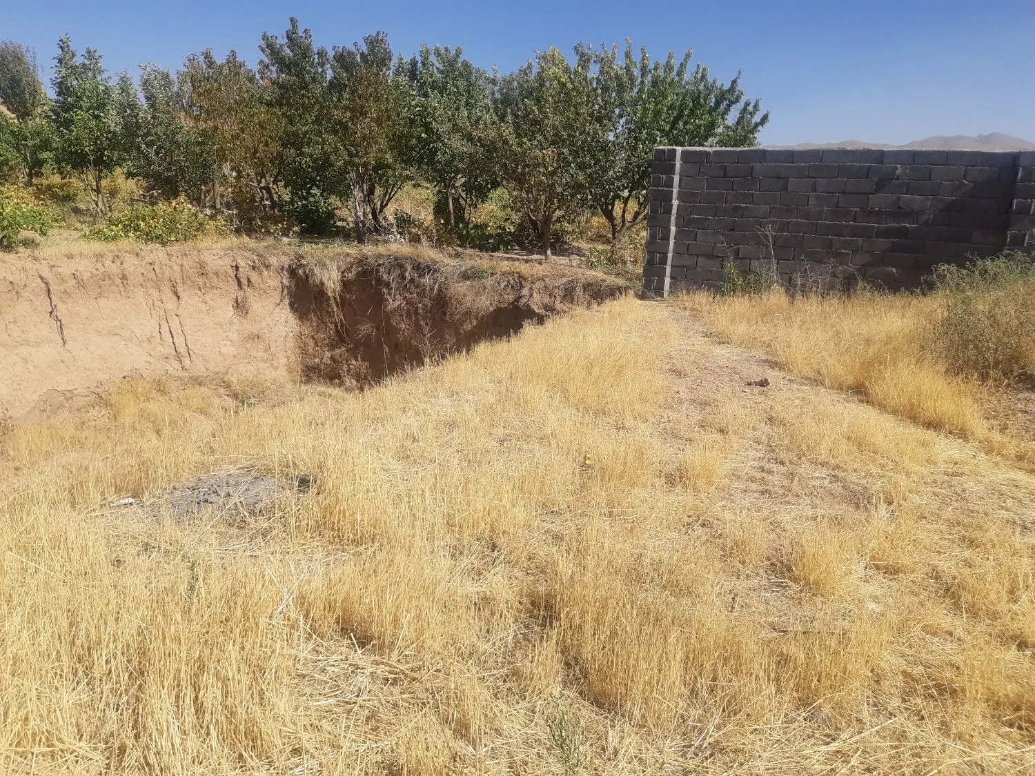 زمین روستایی واقع در چورزق زنجان