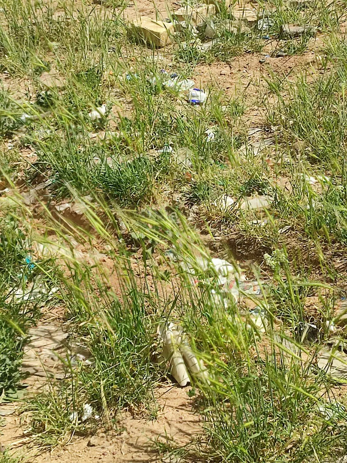 زمین باغشهری سرچشمه کلستان
