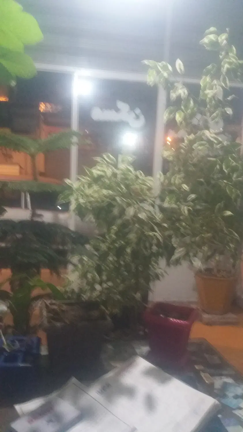 خانه ویلایی