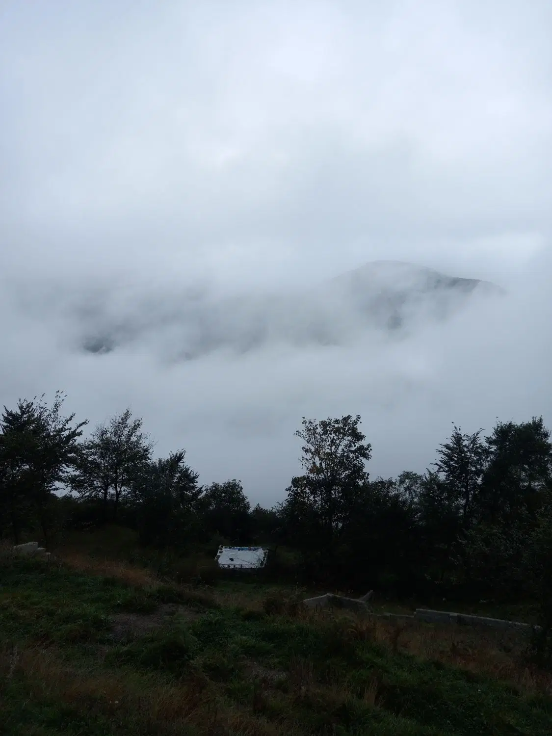زمین ( فروش یا معاوضه ) (خریدار یا سازنده ) بخونید