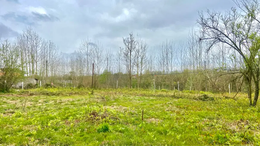 زمین باغی