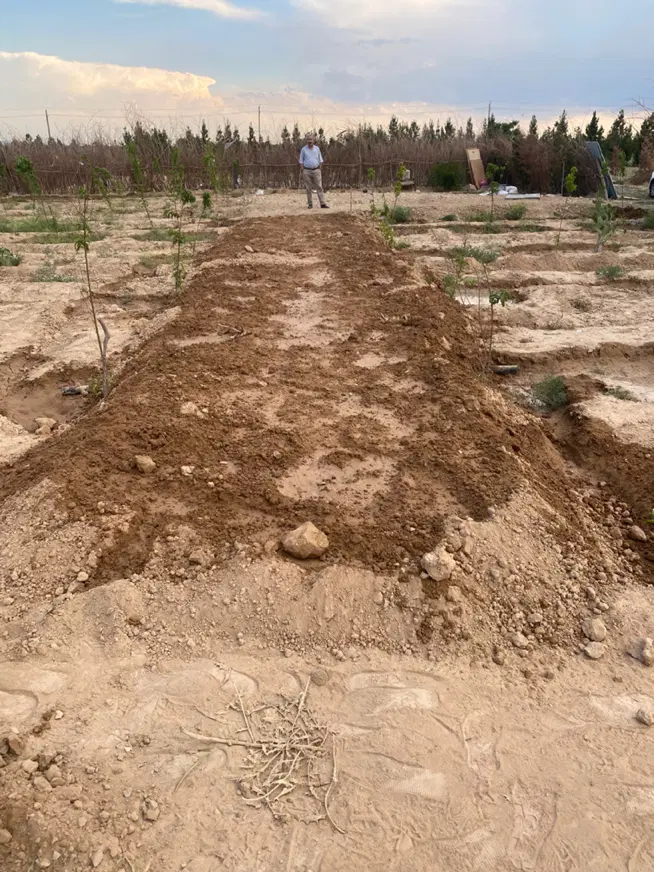 زمین باغی