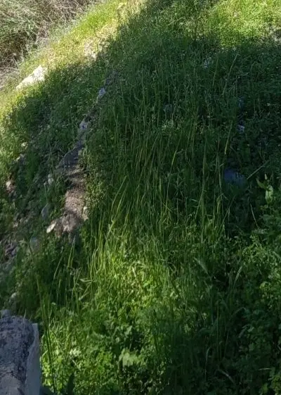 معاوضه زمین و باغ با خودرو