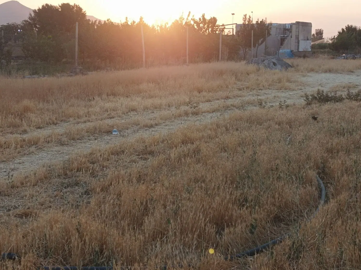 حدود 900مترزمین باغی همدان