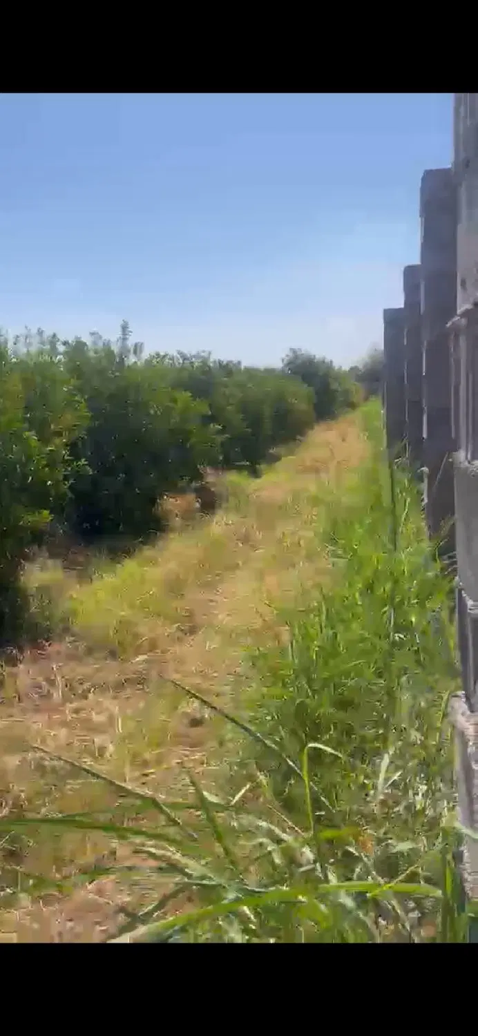باغچه ۱۱ قطعه ای