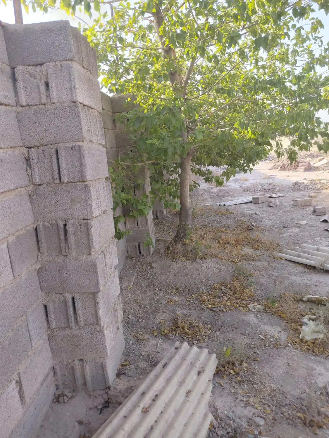 ۲۰۰ متر زمین باغی سند تک برگ