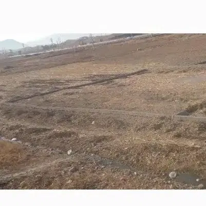فروش زمین