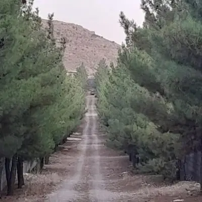 هزار متر زمین
