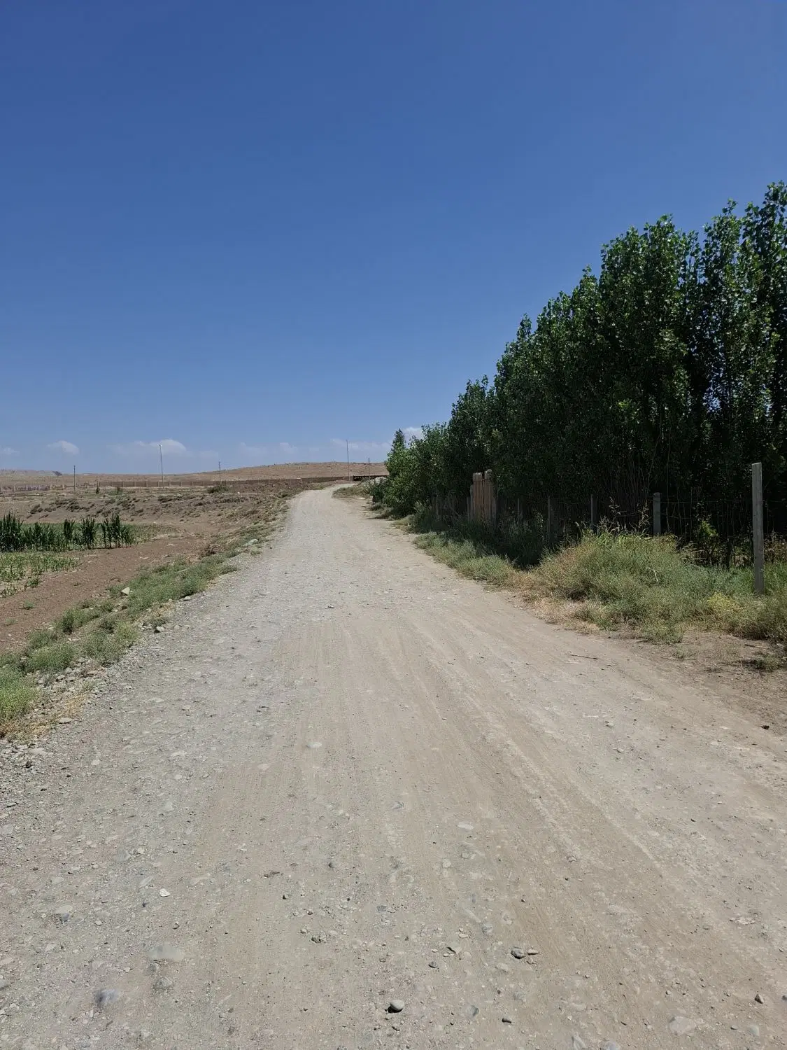 باغچه پیشک 2 دو ۵۵۰ متر