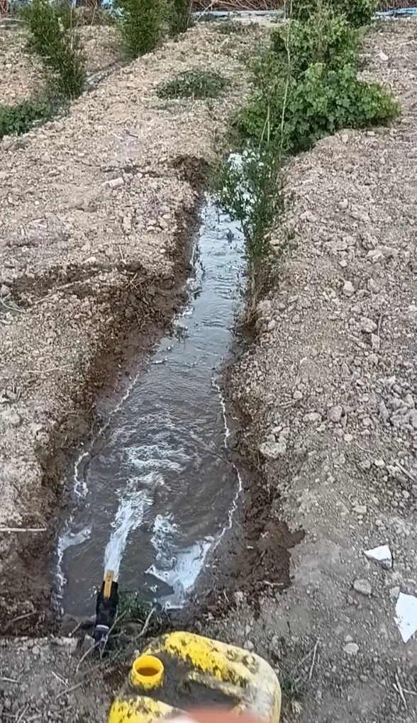 باغچه،بخش آفتاب،کهریزک روستای کاشانک،کوچه بهارستان