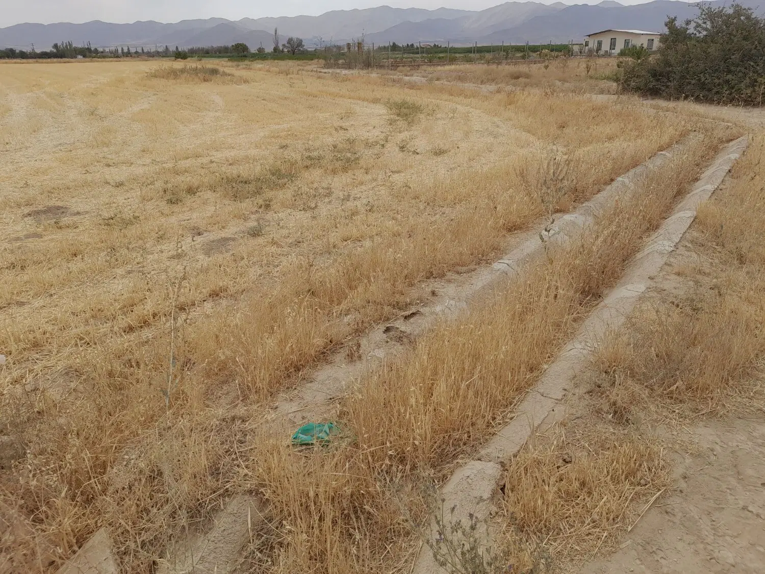 زمین باغی