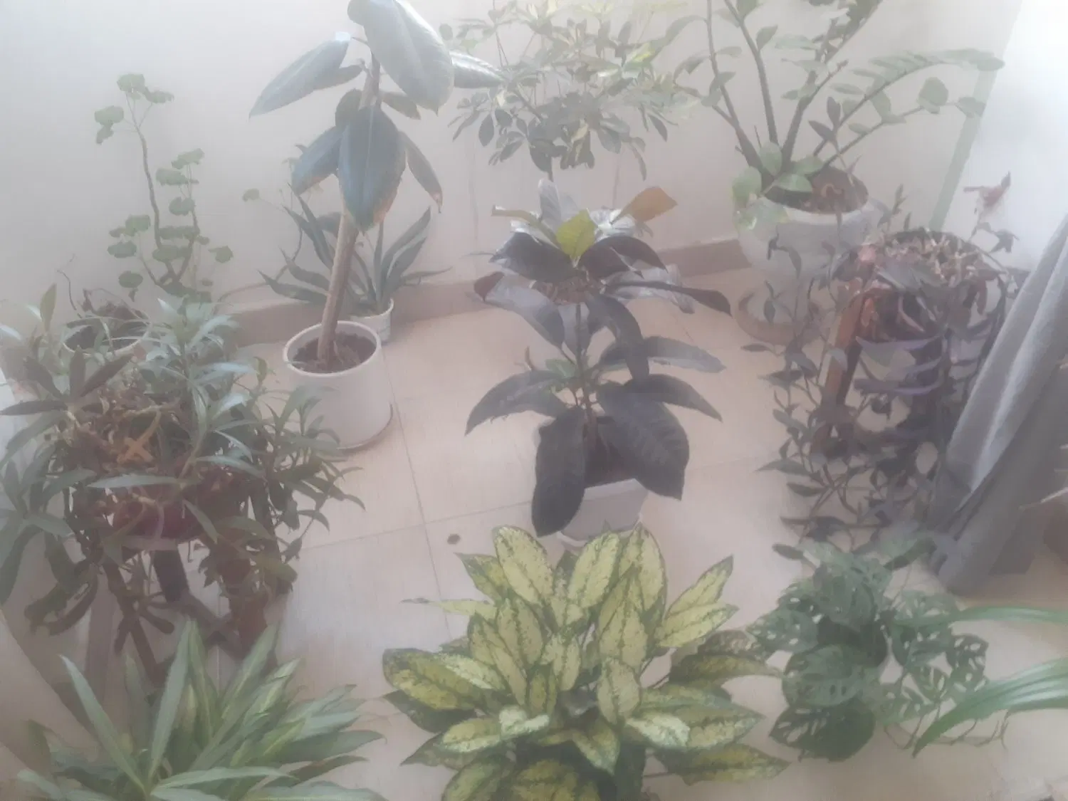خونه اجاره ای اپارتمانی