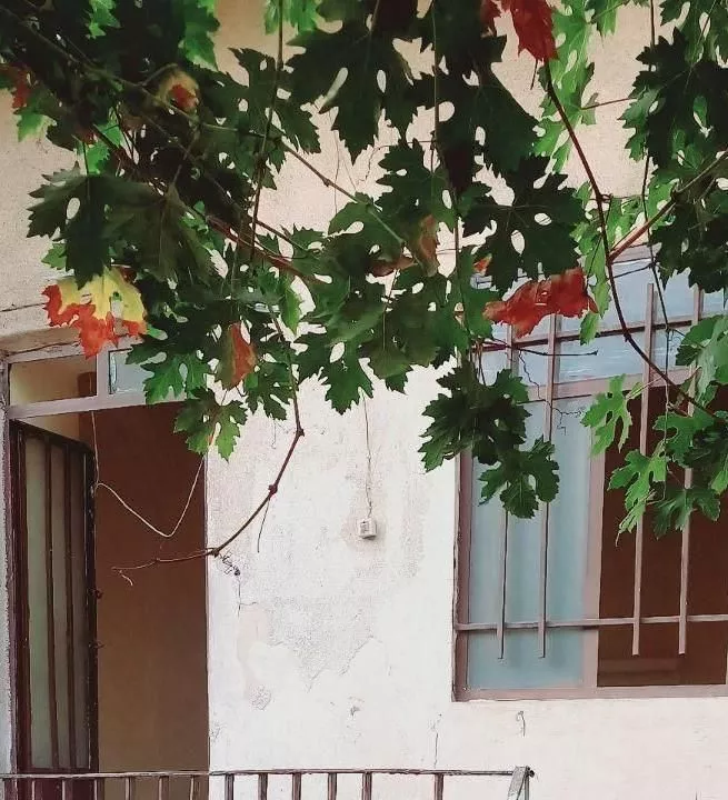 اتاق مجردی برای اقایان