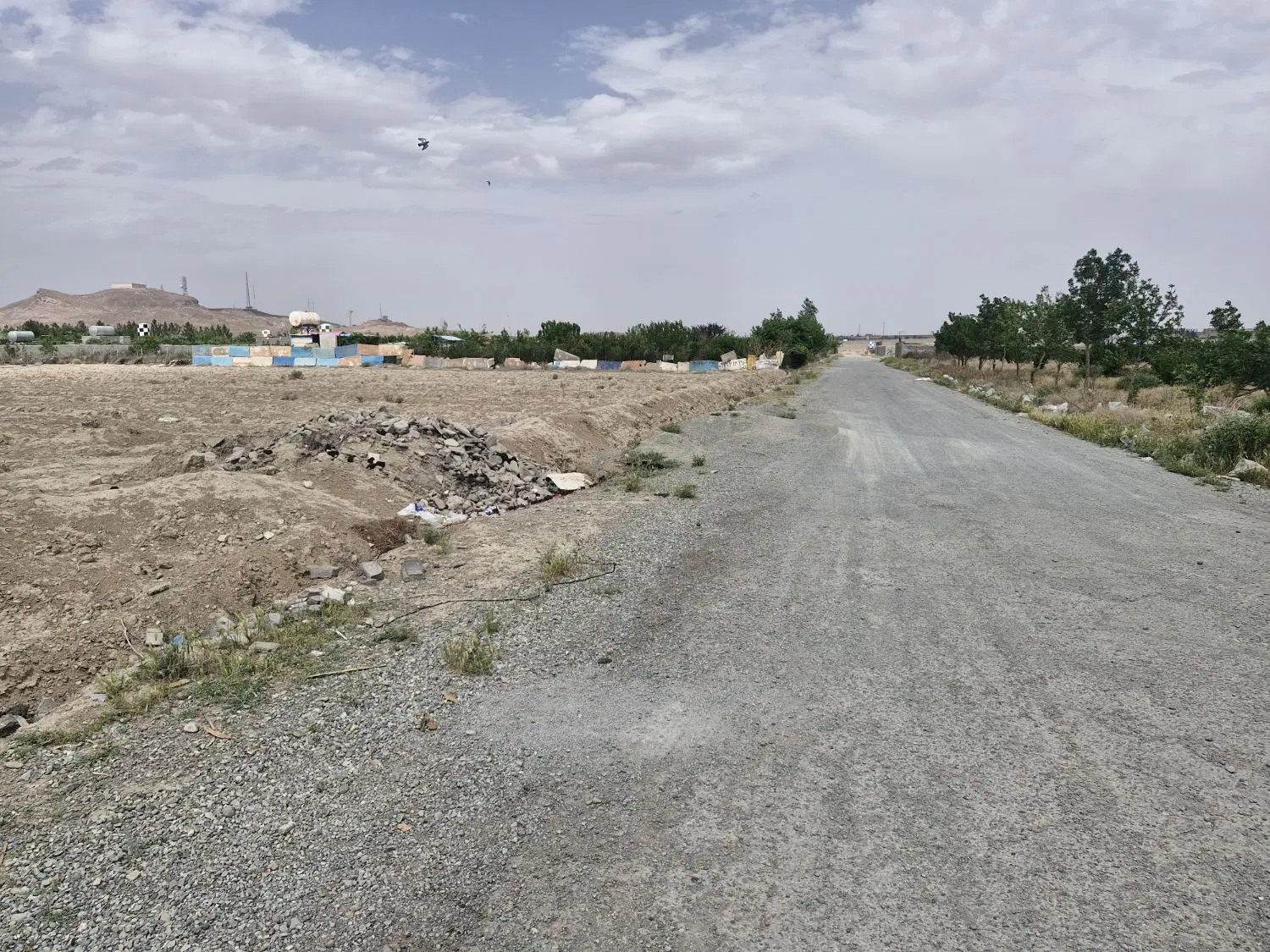 ۱۰۰۰ متر زمین عطر یاس