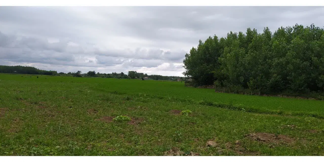 ویلایی ۹۰۰۰ متری بهشت