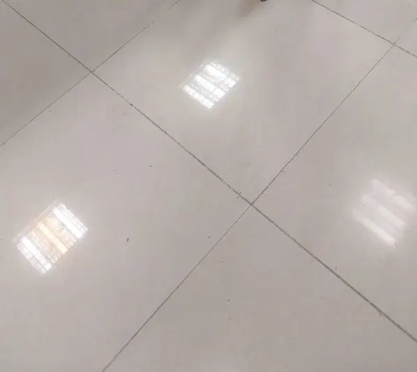 مغازه