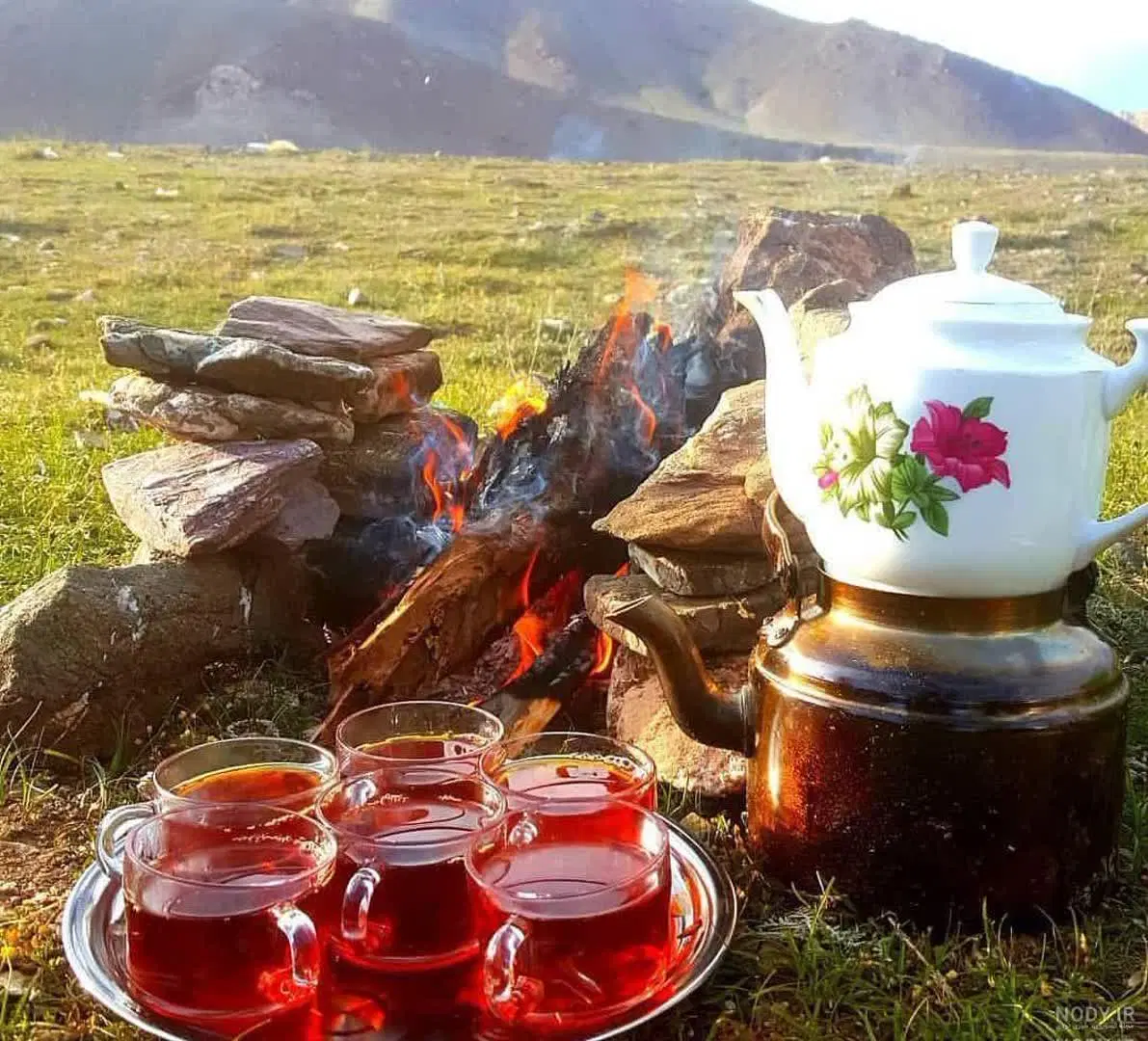 زمین نیرو انتظامی جدید