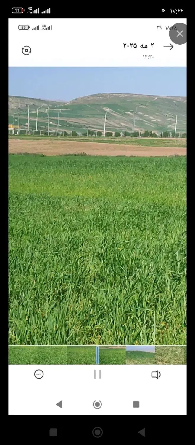 زمین باغی و کشاورزی