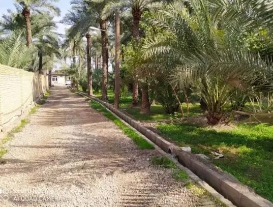 مستاجرم دنبال خونه مناسبم زوج هستیم