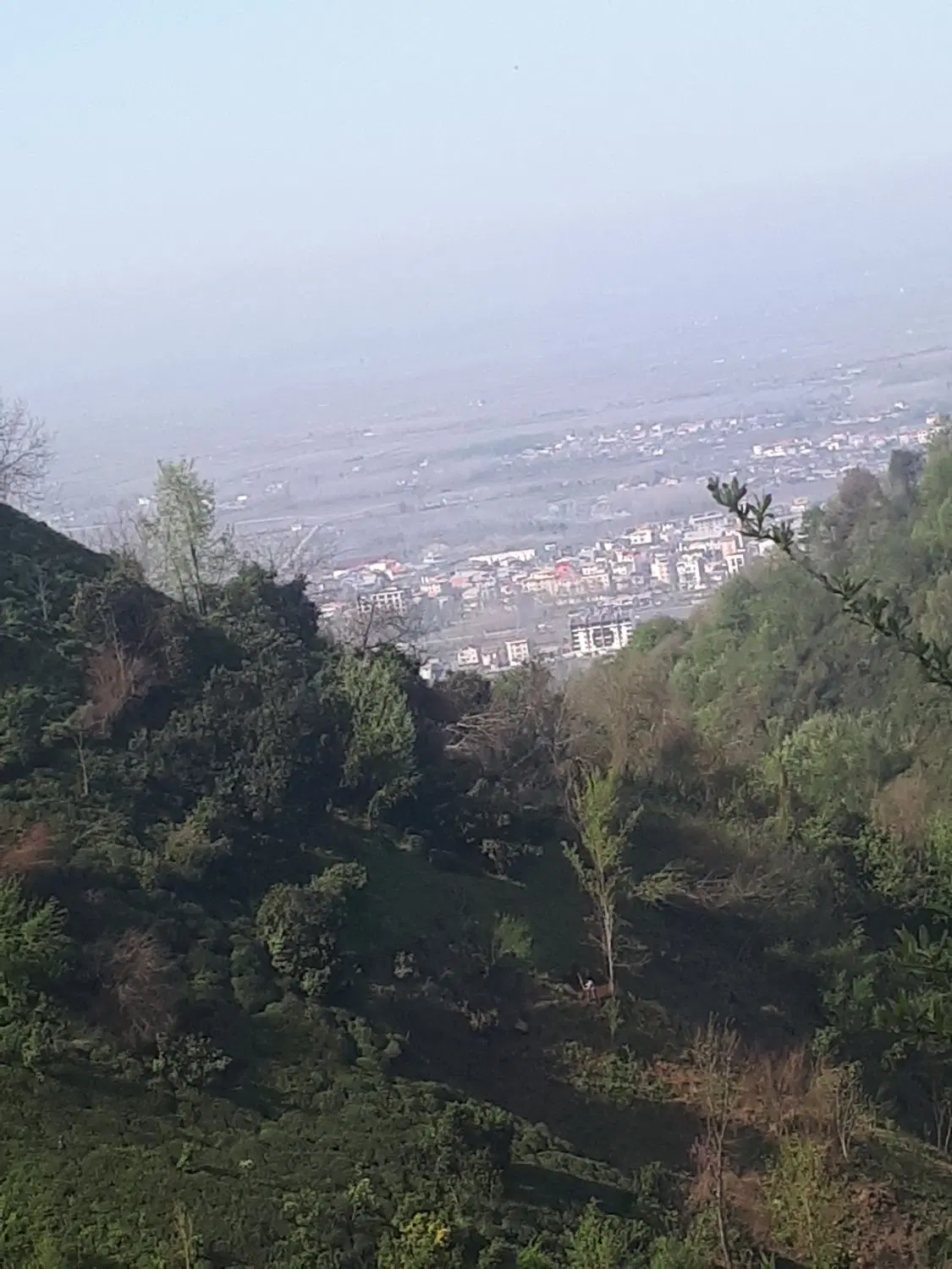 اجاره ویلا