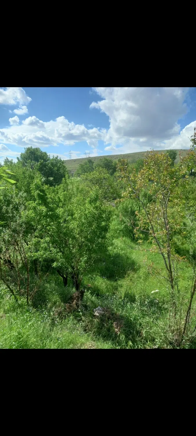 باغ با آب چشمه