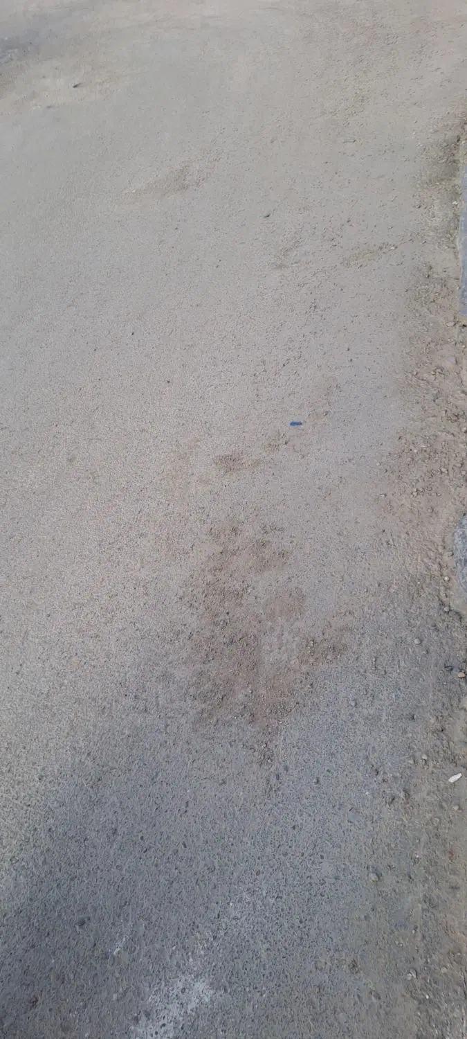 زمین جهان ارا اخراسفالت  خیابان ۱۲