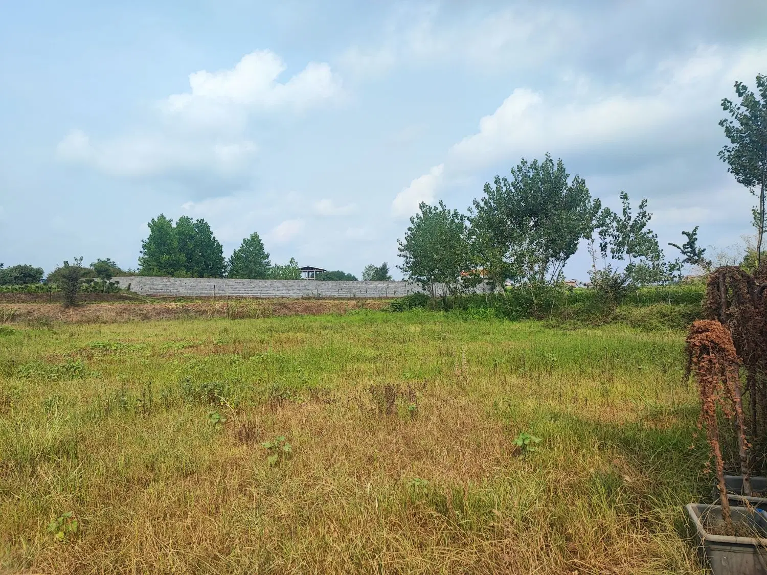 زمین کلاچای