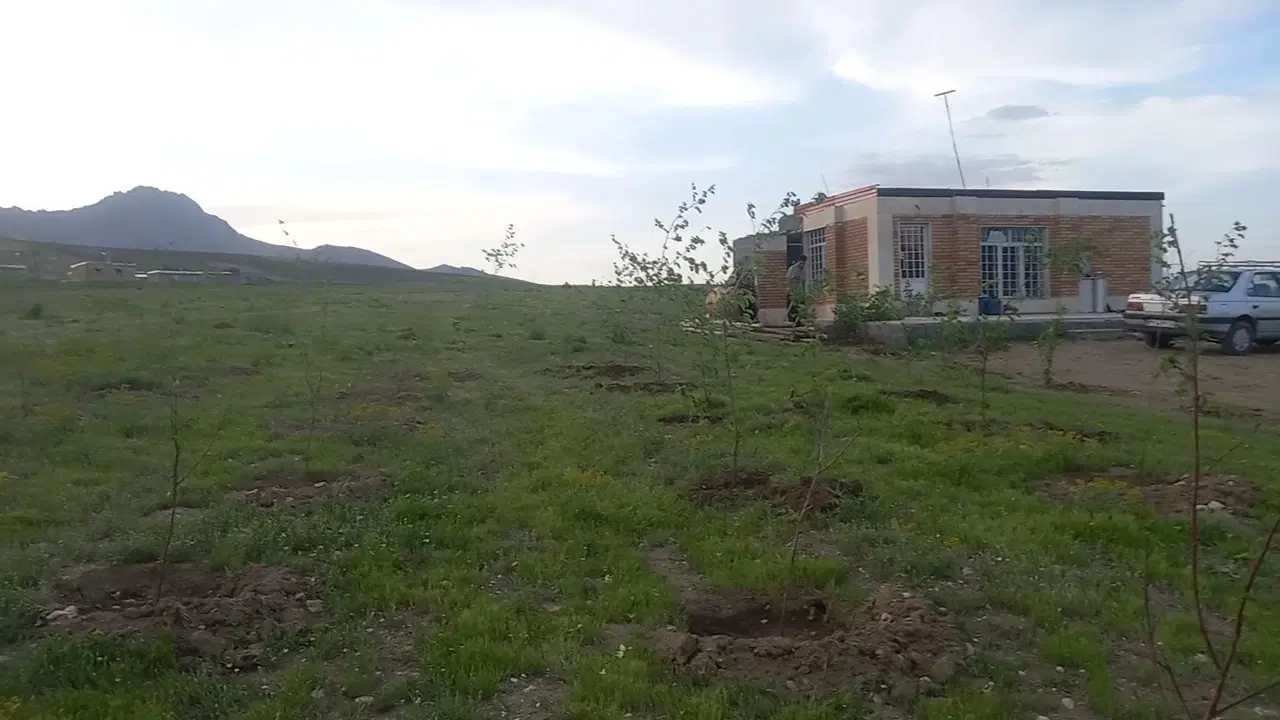 زمین باغی