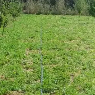 فروش زمین مسکونی بهاران