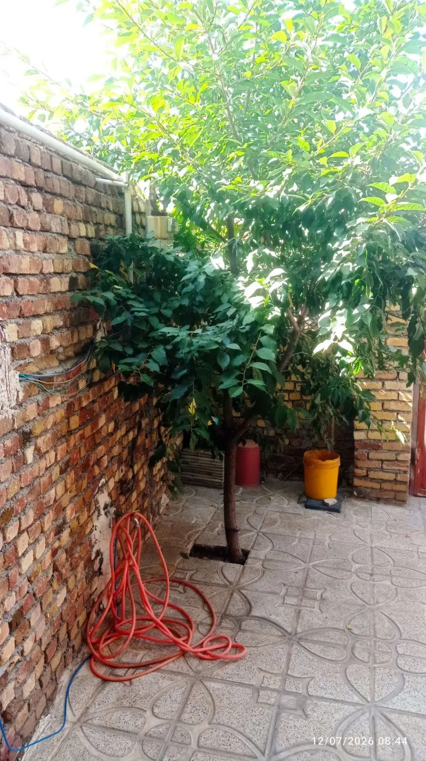 فروش و معاوظه خانه ویلای صحنه