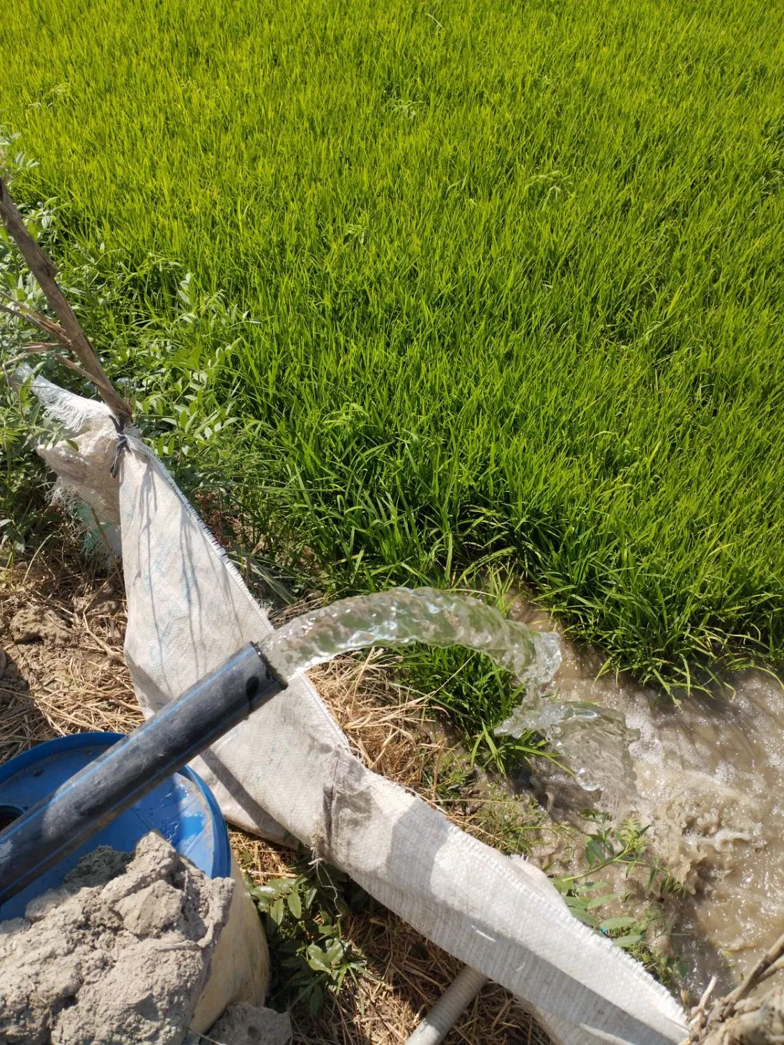 فروش زمین