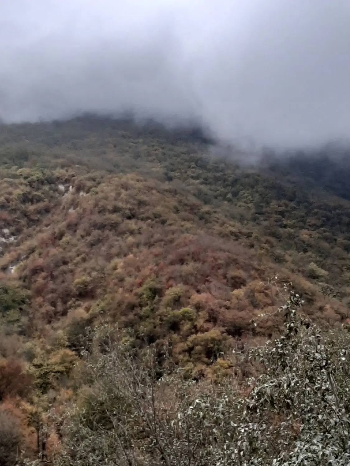 زمین زراعی