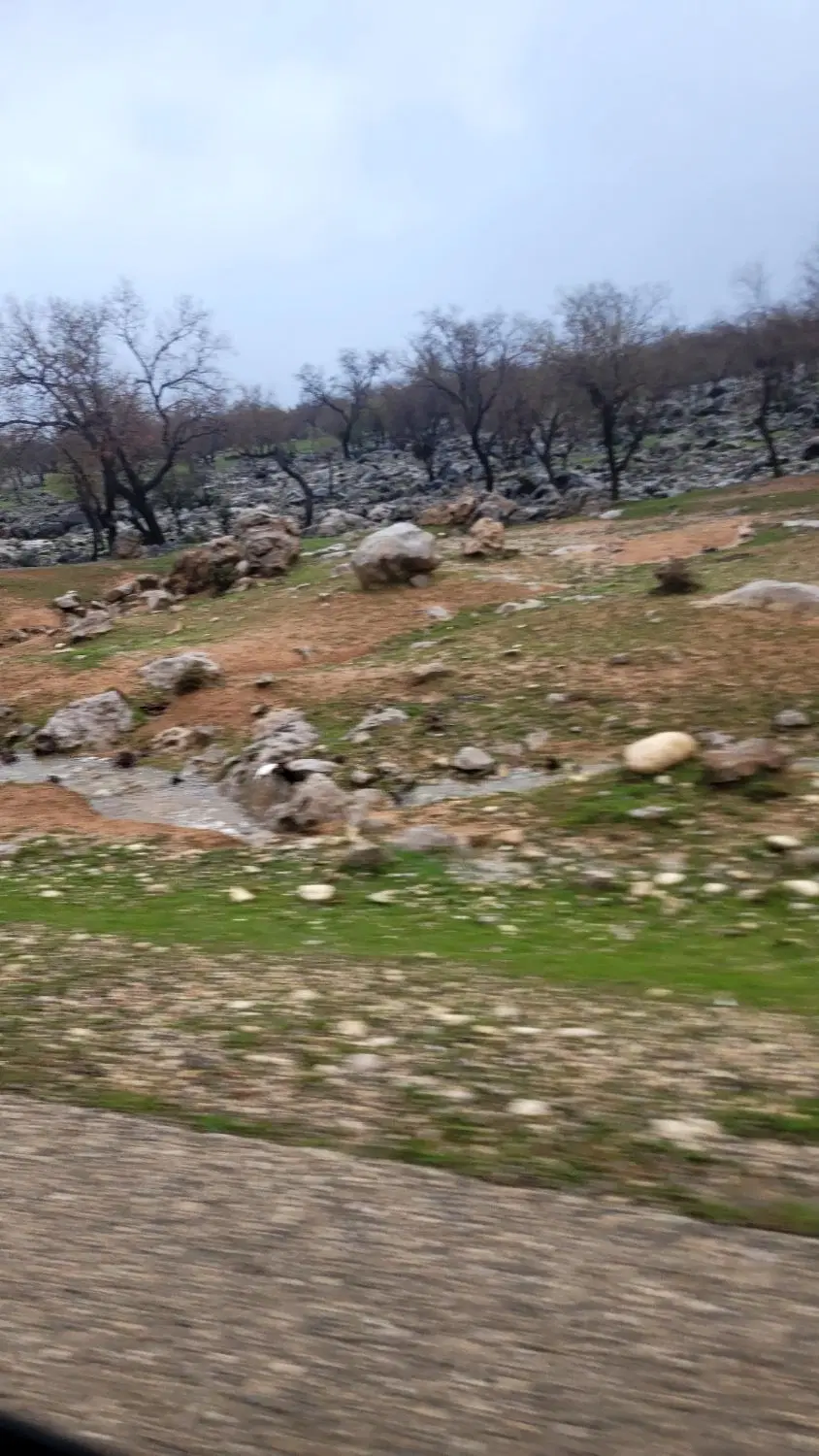زمین