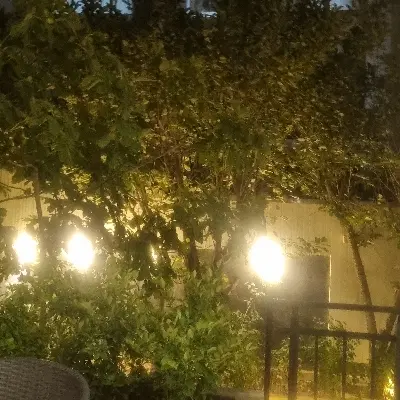اجاره آپارتمان ۲۴۰ متری ۴ خوابه پل شیری