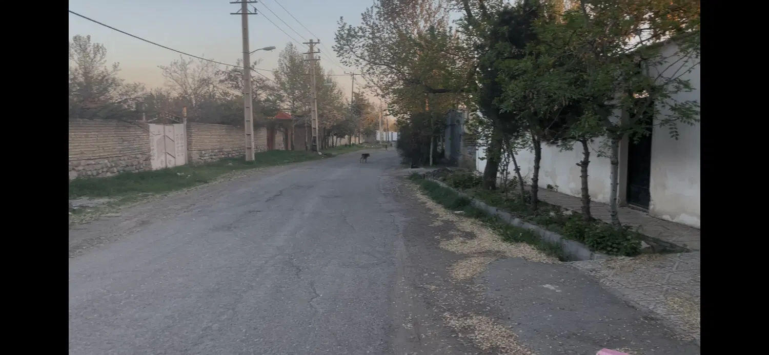زمین جواز دار
