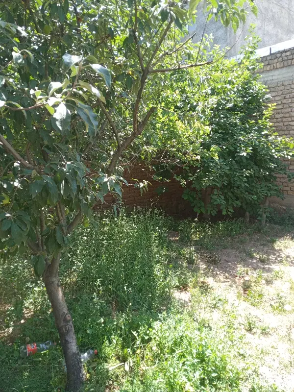 خانه ویلایی در مرکز شهر خلخال