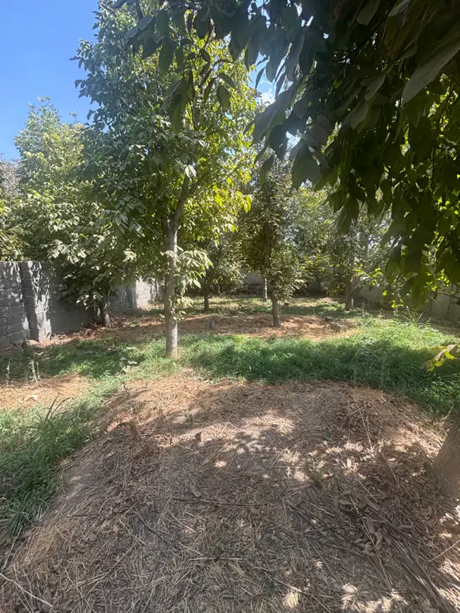 ۲۵۰متر باغ ۴دیواری کوهسار کردان چندار