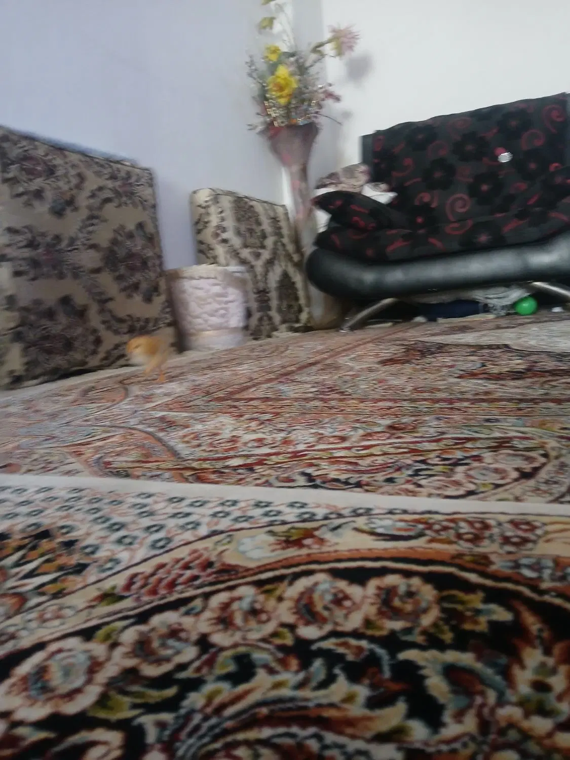 واحد ۶۰ متری فروش