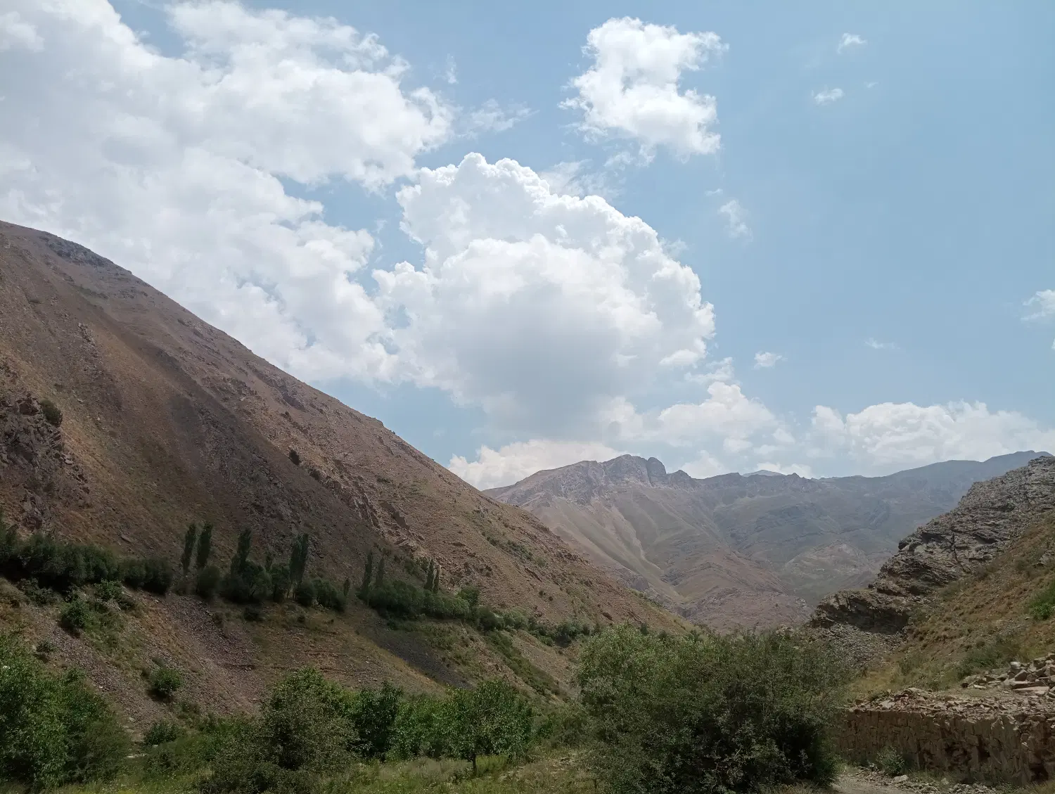 زمین باغ