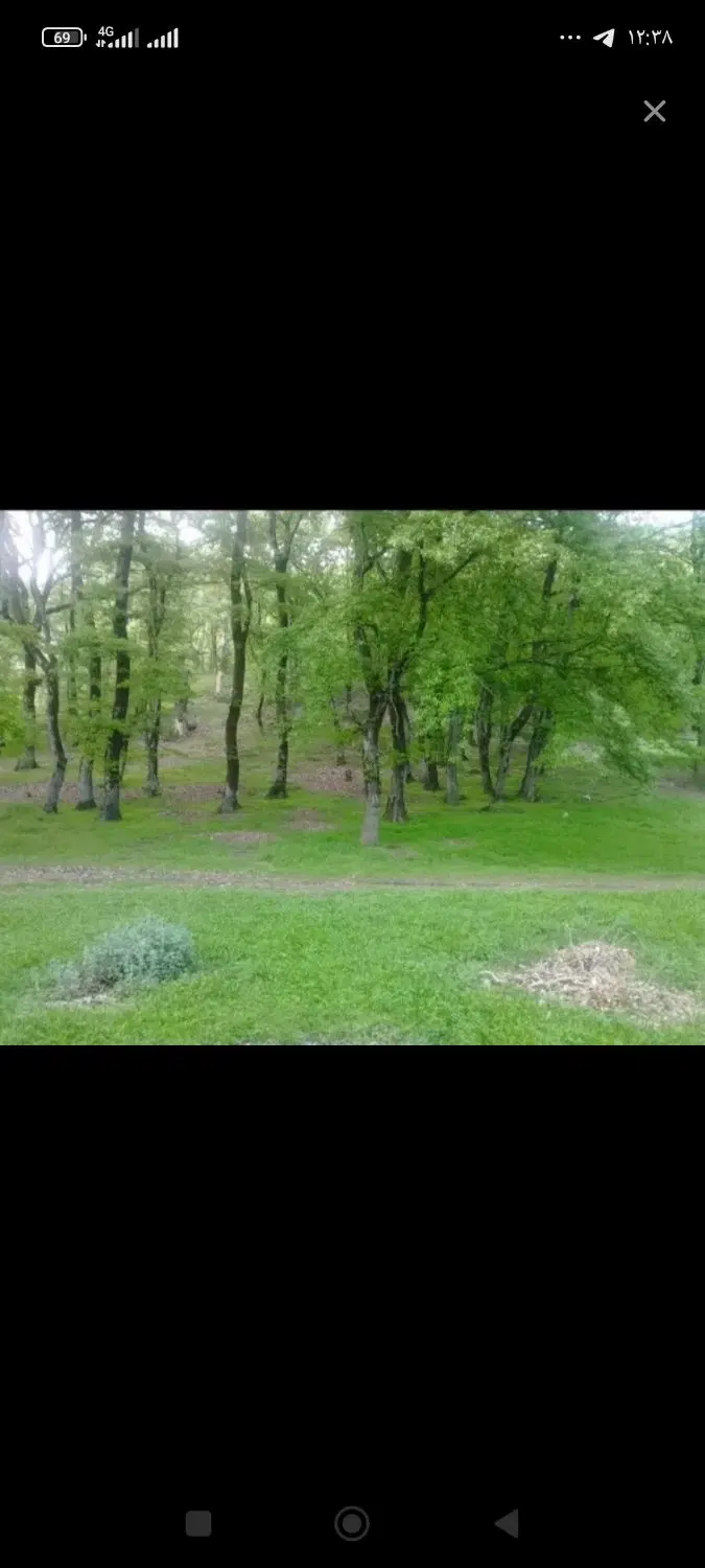 ده قصب زمین ..دهکده گلها ..کنار ورزشگاه مس
